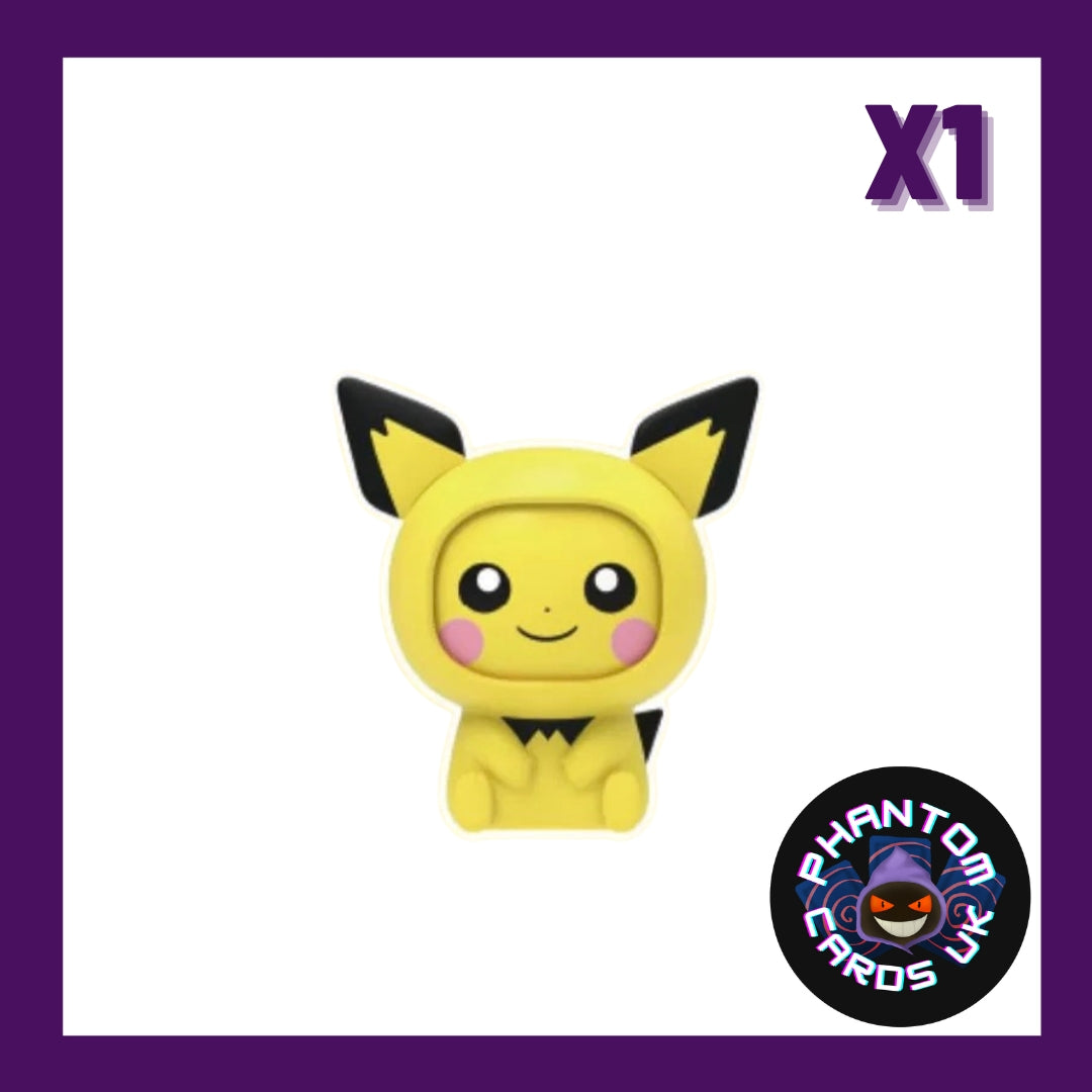 Face Changing Pokémon - Pichu